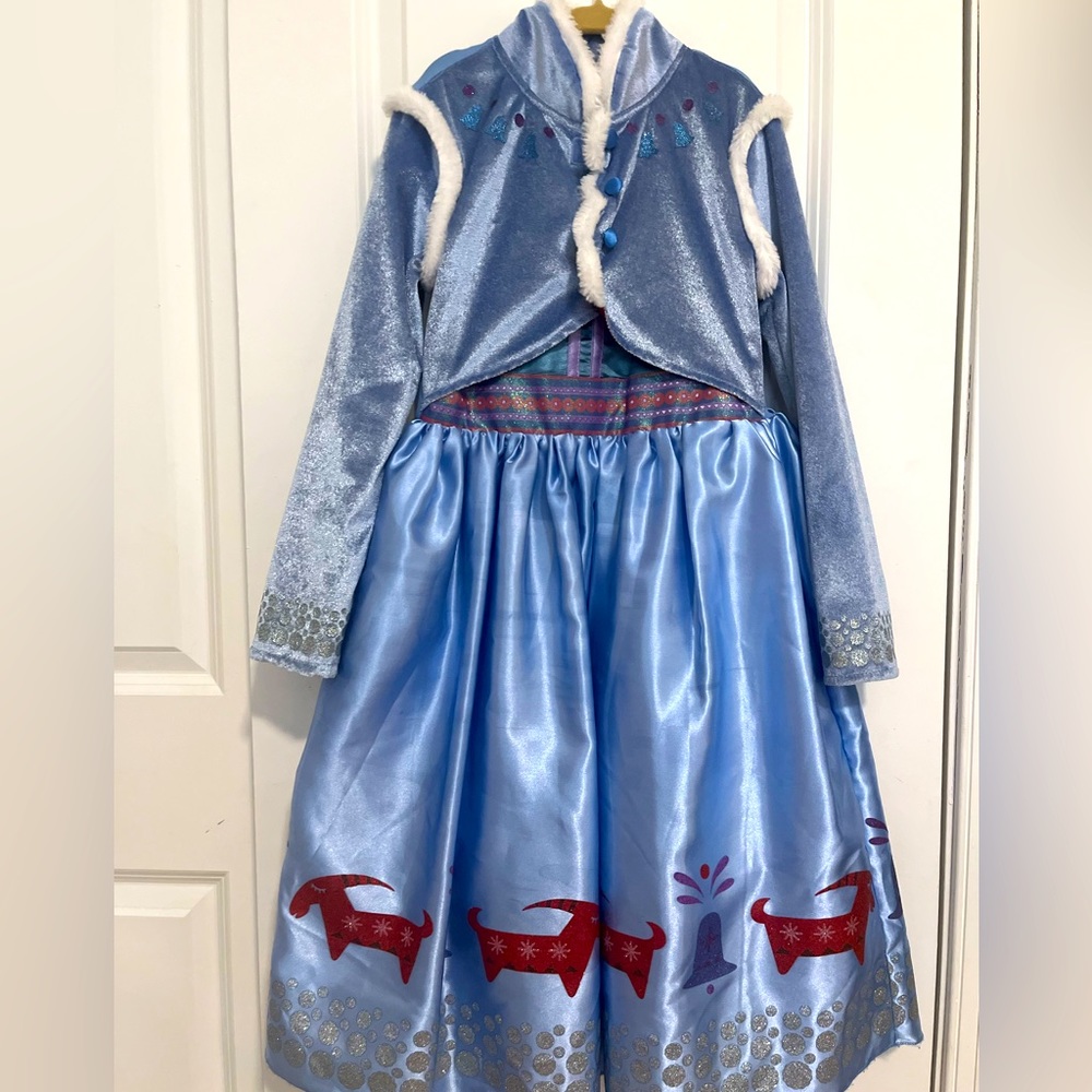 Anna dress/costume